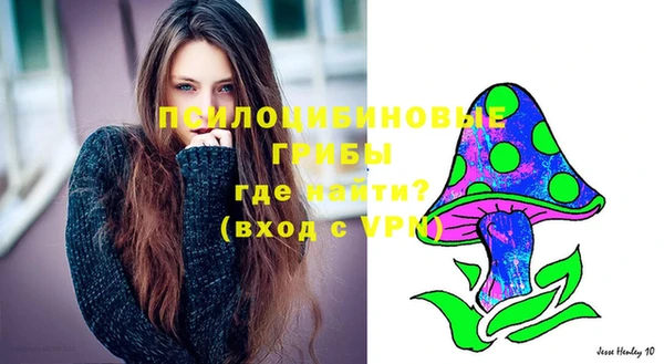 метадон Козельск
