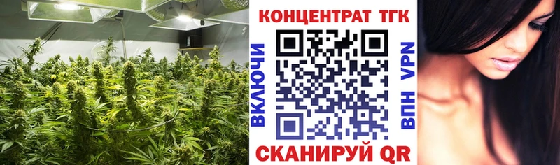 купить  сайты  Керчь  Дистиллят ТГК THC oil 