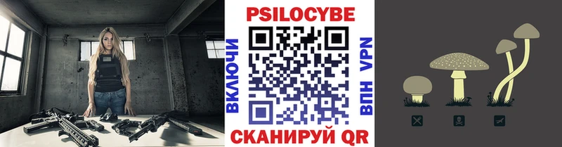 kraken рабочий сайт  Керчь  Псилоцибиновые грибы мицелий 
