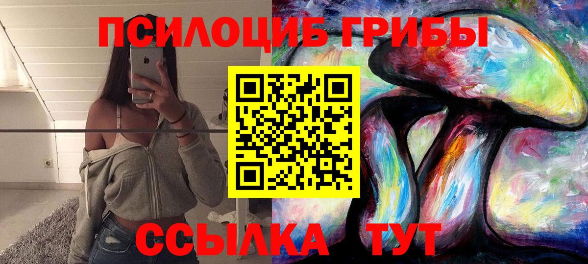 Псилоцибиновые грибы Psilocybine cubensis  Керчь  даркнет сайт  Псилоцибиновые грибы мухоморы 
