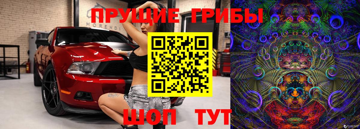 Галлюциногенные грибы Psilocybine cubensis Керчь