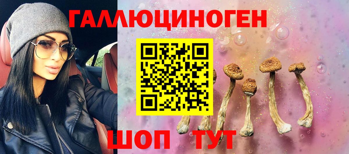 Галлюциногенные грибы Psilocybe Керчь